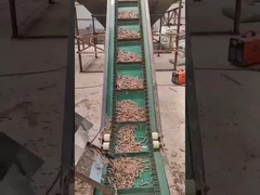 50HZ রিং ডাই উড পেলেট মেশিন 3ফেজ ভার্টিক্যাল পেলেট মেকিং মেশিন 450-700mm