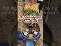 500 কেজি/ঘন্টা পশু খাদ্য পেল্ট মিল মেশিন