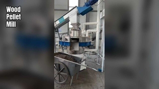 উচ্চ দক্ষতার রিং ডাই কাঠের পাইলেট মিল