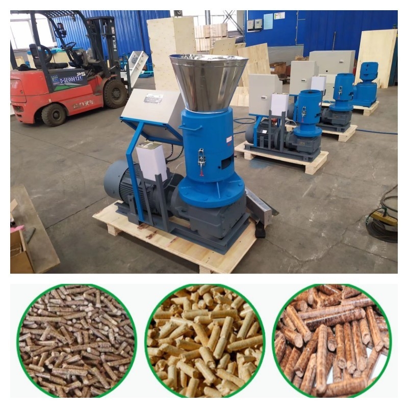 22kw-55kw 300-800KG/H কাঠের পিলেট মিল CE সহ সম্পূর্ণ স্বয়ংক্রিয়ভাবে ইউরোপে রপ্তানি করুন