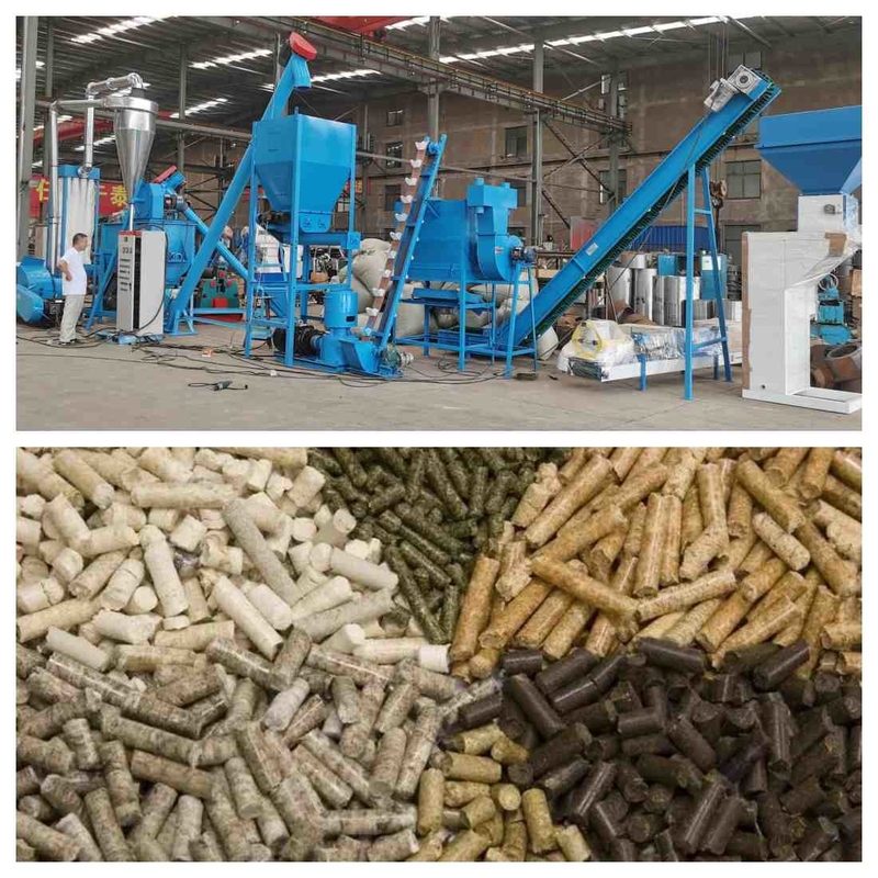 1000kg/H পশুর ফিড পেলেট উৎপাদন লাইন 1-12 মিমি ফিড পেলেট গ্রানুলেটর