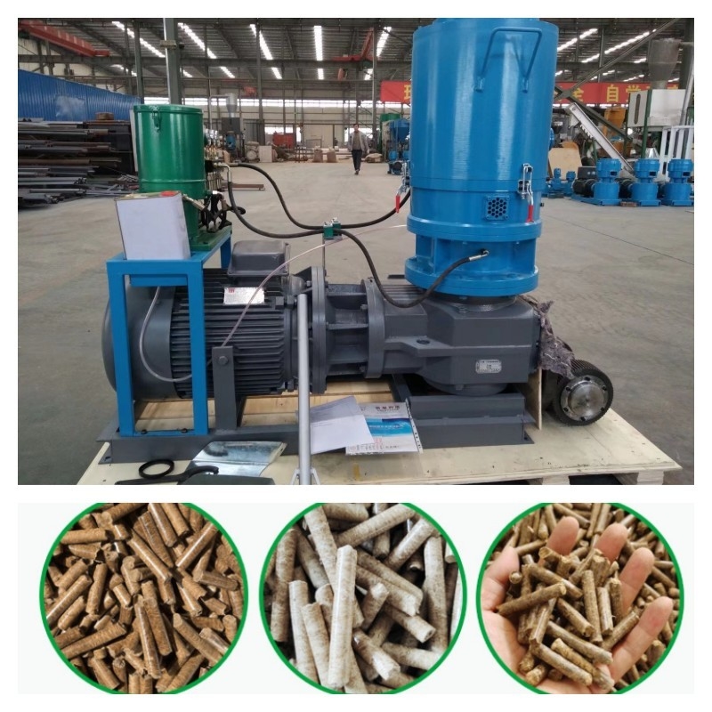 500KG/H ফ্ল্যাট ডাই উড পেলেট মিল বায়োমাস কাঠ চিপ পেলেট মেশিন উচ্চ ঘনত্ব