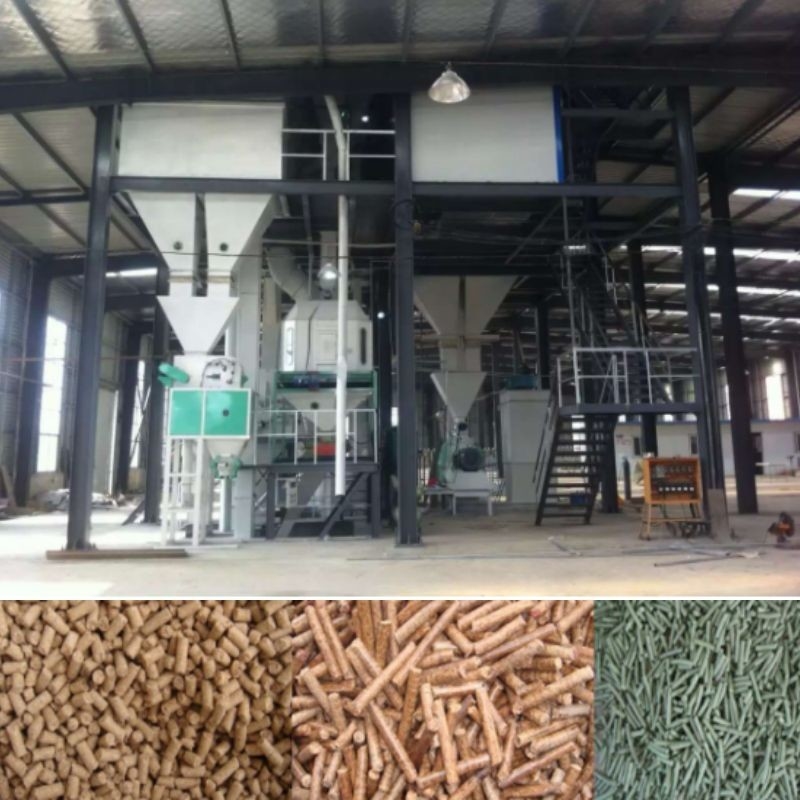 1-10 T/H পশুর খাদ্য পেলট উৎপাদন লাইন লাইভস্টক পোল্ট্রি পেলেট মেকিং মেশিন