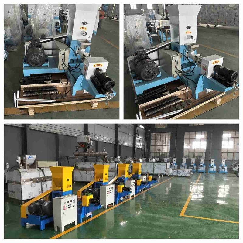 100-200kg/H তেলাপিয়া ফ্লোটিং ফিড এক্সট্রুডার মেশিন পেট ফিড পেলেট মেশিন স্ক্রু প্রেস