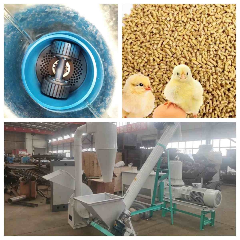 ফ্ল্যাট ডাই ফিড পেলেট মেকার 300kg/H -1000Kg/H ছোট প্রাণী ফিড পেলেট উত্পাদন লাইন