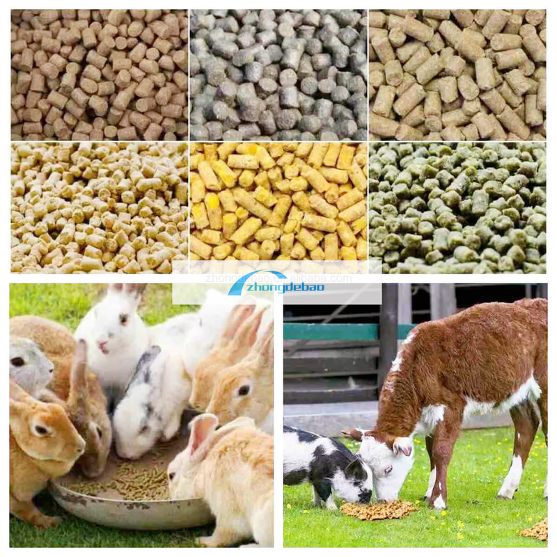 600-800 কেজি/ঘন্টা আউটপুট মাছ পশু খাদ্য ফায়ার মিল কুকুর এবং বিড়াল খাদ্য পেললেট সরঞ্জাম খাদ্য extruder pelletizer মেশিন