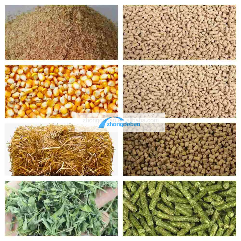 300-400 কেজি/ঘন্টা উচ্চ উত্পাদনশীলতা ডিজেল টাইপ পেললেট মিল মেশিন সঙ্গে পোষা খাদ্য পেললেট মেশিন