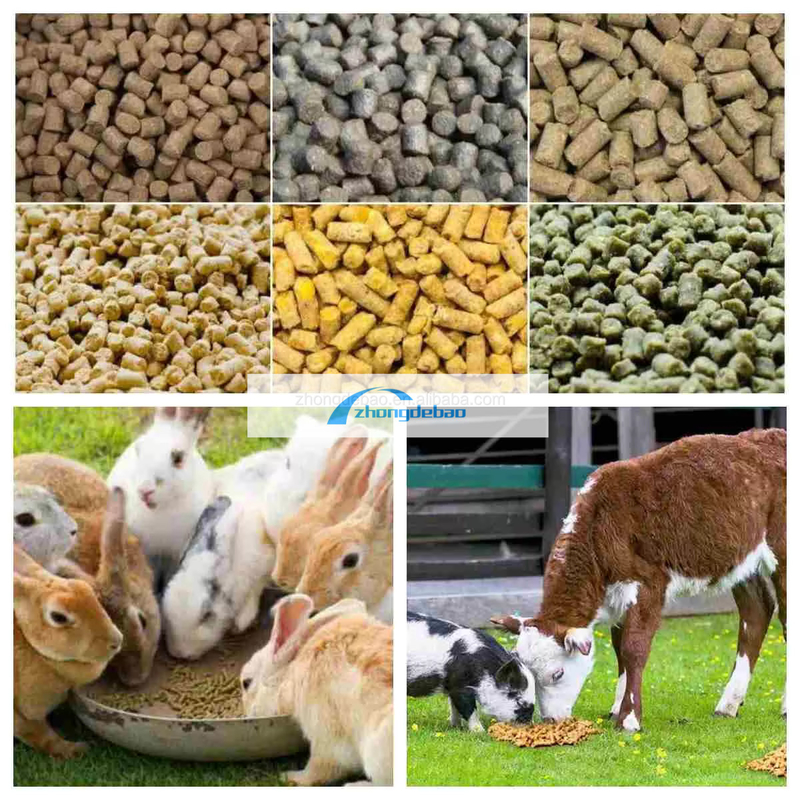 300-400 কেজি/ঘন্টা উচ্চ উত্পাদনশীলতা ডিজেল টাইপ পেললেট মিল মেশিন সঙ্গে পোষা খাদ্য পেললেট মেশিন